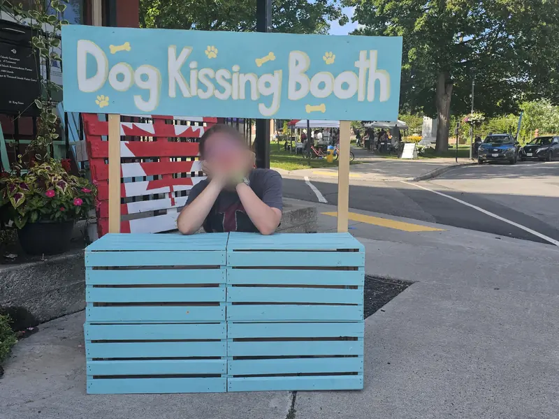 A hand-painted blue Dog Kissing Booth made of crates, with a Canadian flag pallet behind it, at a street event on King Street; the person leaning on the counter has their face blurred.